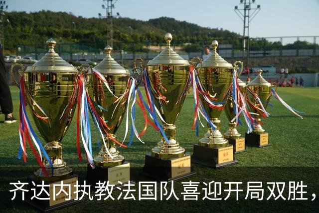 齐达内执教法国队喜迎开局双胜，历史地位提升